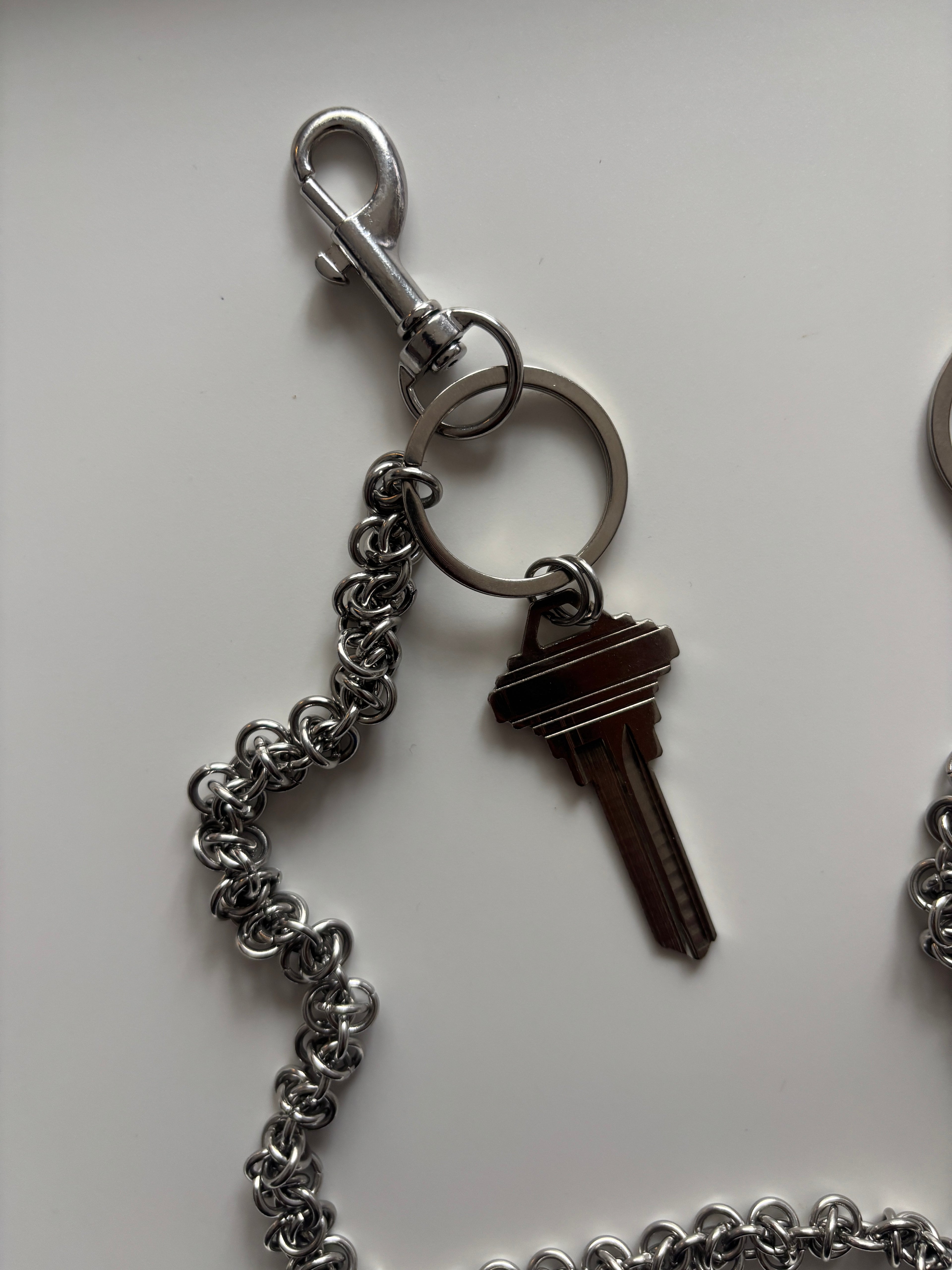 Cryptic Chain